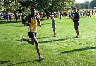 Illustration for article titled Innocent Is Independent: The Story of A Cross Country Runner